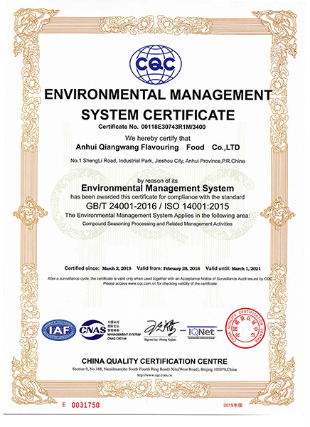 Environmental Management System Certificate